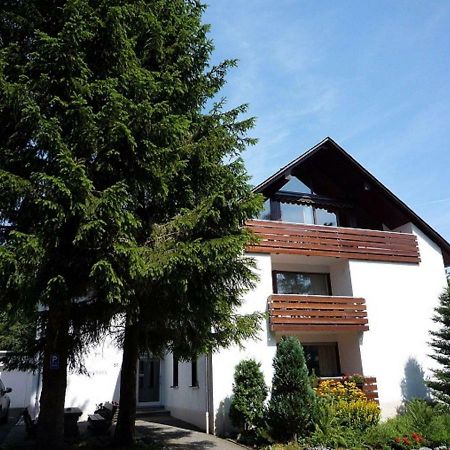 Ferienwohnungen Gerald Reckert Winterberg Buitenkant foto